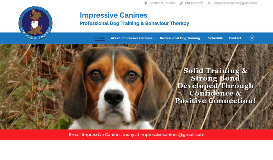 Impressive Canines